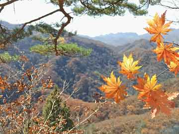 和平装潢装修，和谐家居的艺术缔造之旅