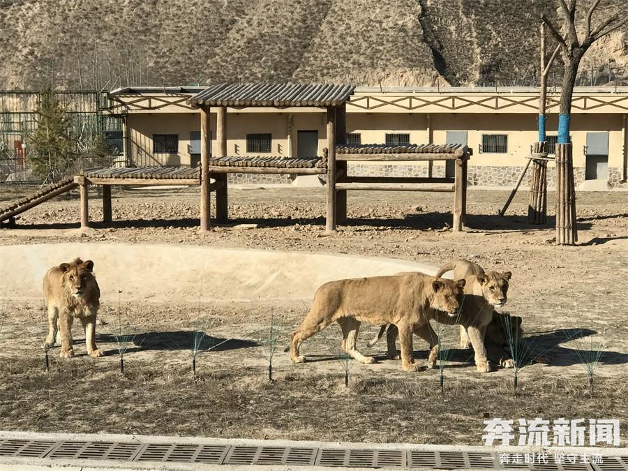 兰州新区地暖装修装潢，打造宜居家居环境