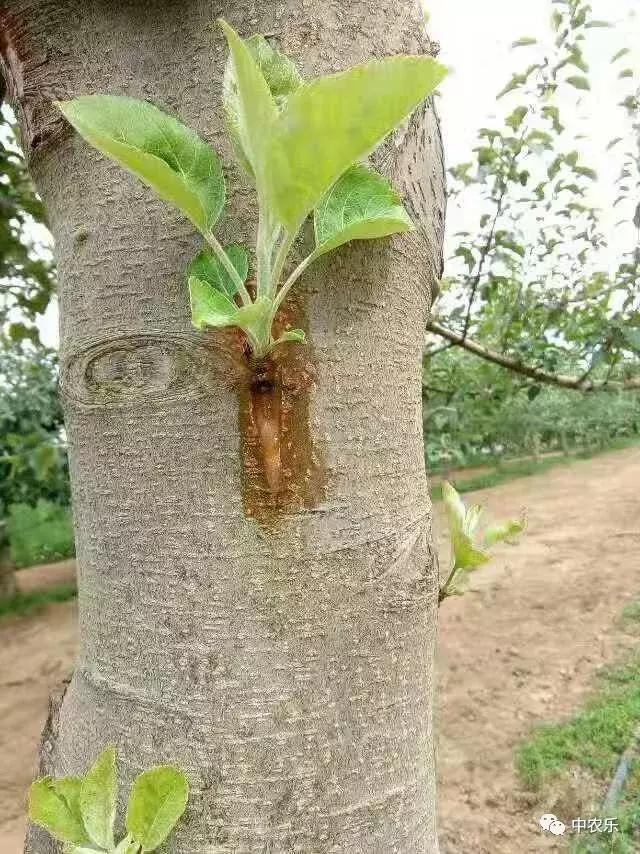 装修装潢中钉钉功能的关键性与重要性