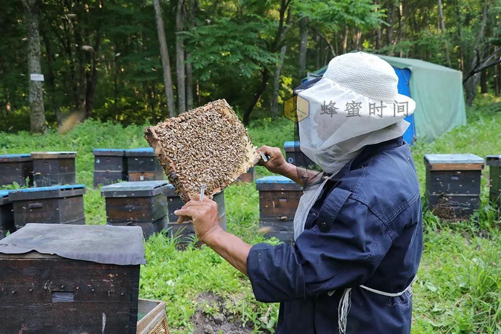 潜江会所独特装修装潘，打造魅力休闲空间